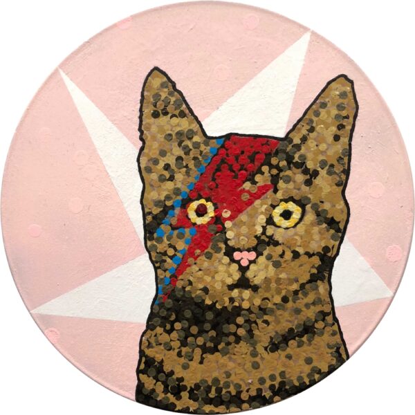 Bowie Kitty