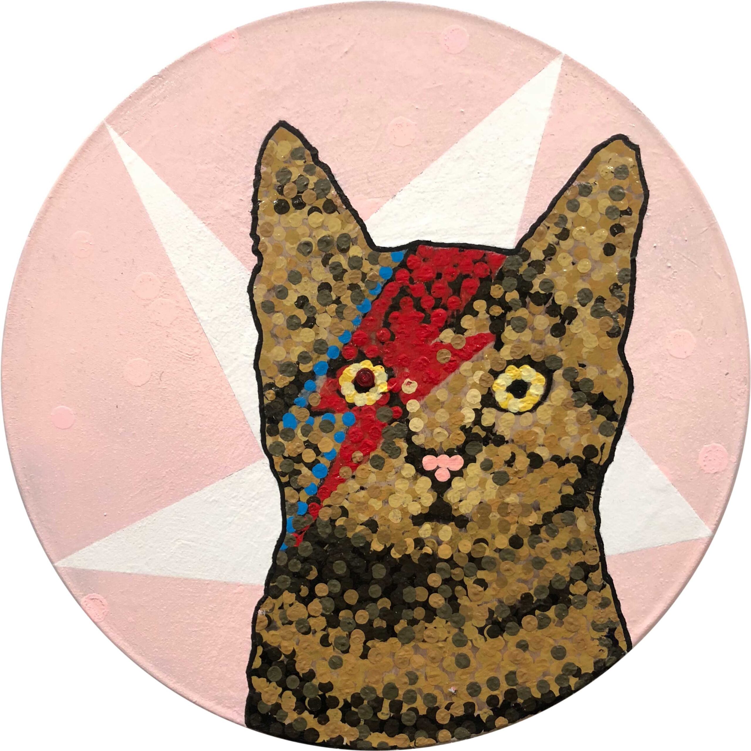 Bowie Kitty